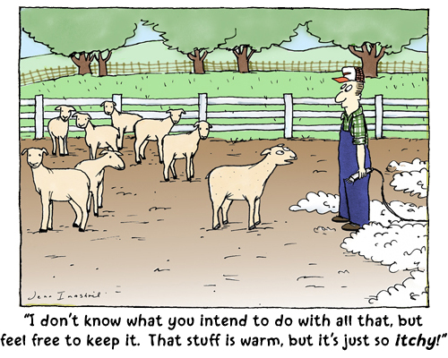 Jenn's Doodle World: Shorn Sheep: Zazzle.com Store Jenn's Doodle World: Shorn Sheep: Zazzle.com Store